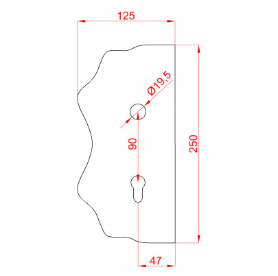 Štít 250x125x3mm s otvormi, rozteč 90mm, otvor pre kľučku ø 19,5mm, hladký, obojstranný (pravý aj ľavý), pre zámok ZM90/80